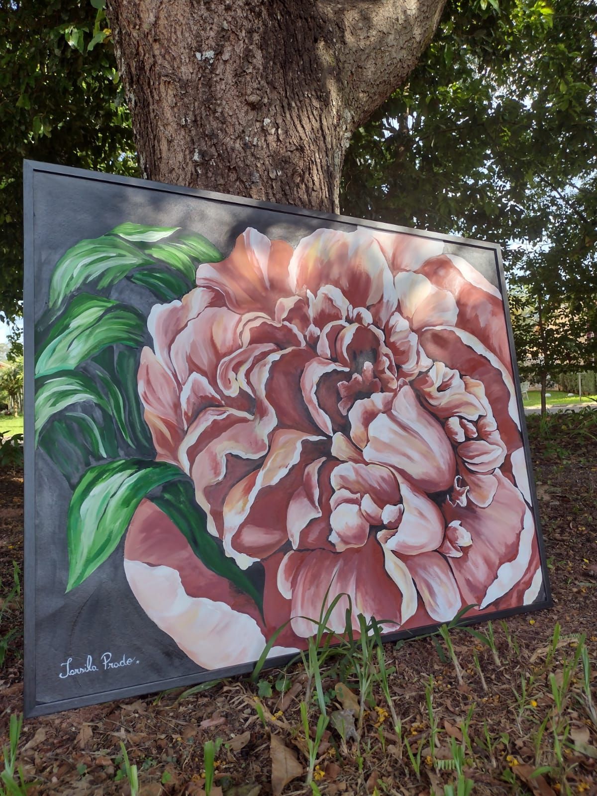 A Rosa