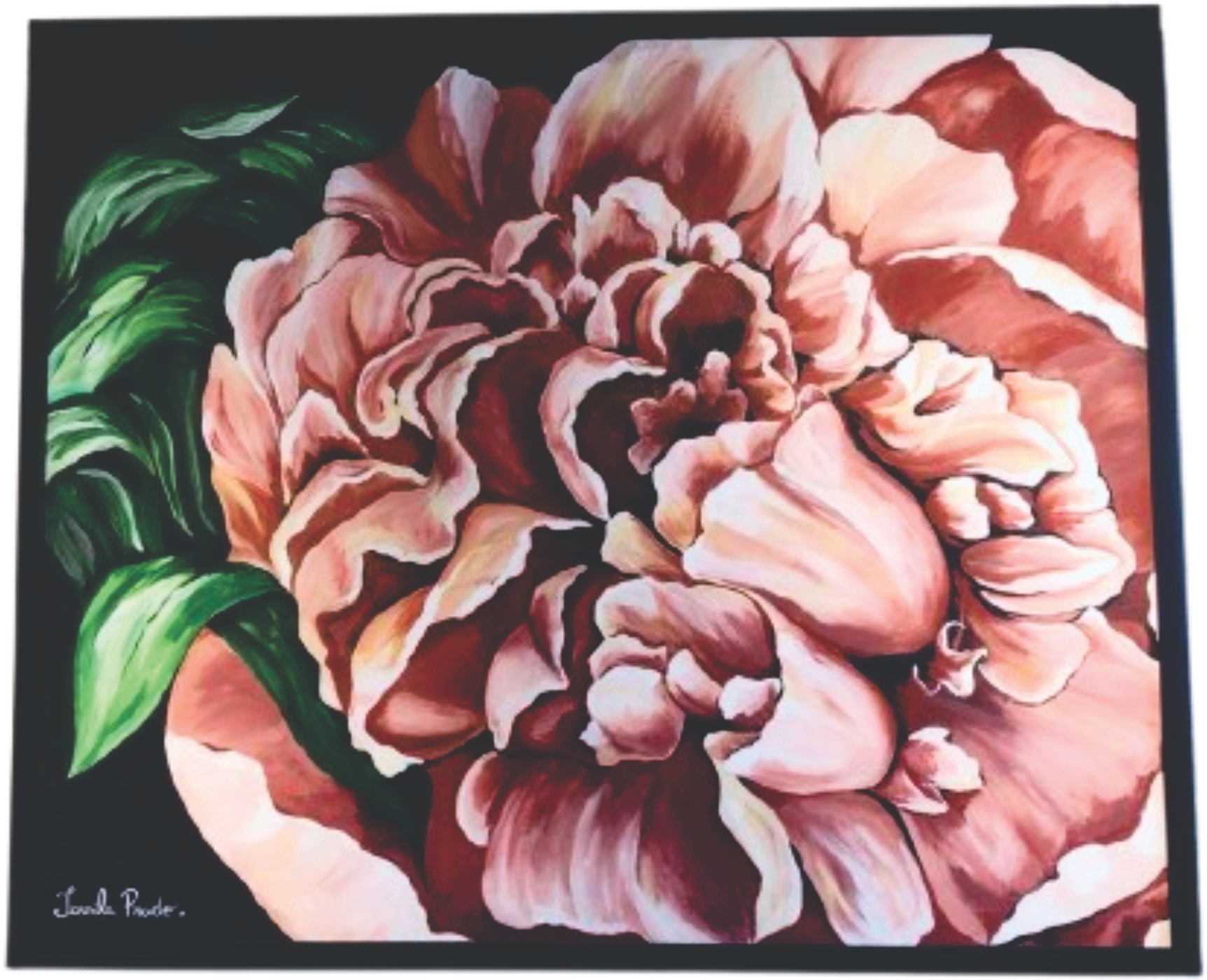 A Rosa
